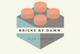 Bricks by Dawn