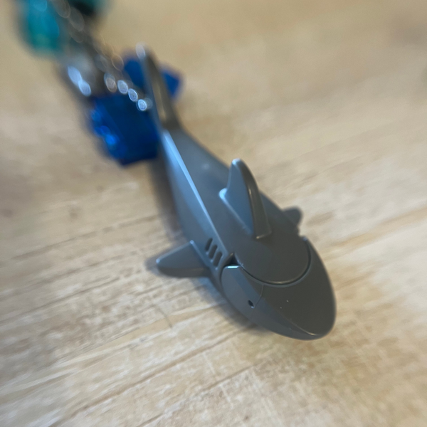 Shark